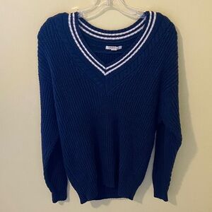 American Eagle Outfitters Navy V-Neck Sweater